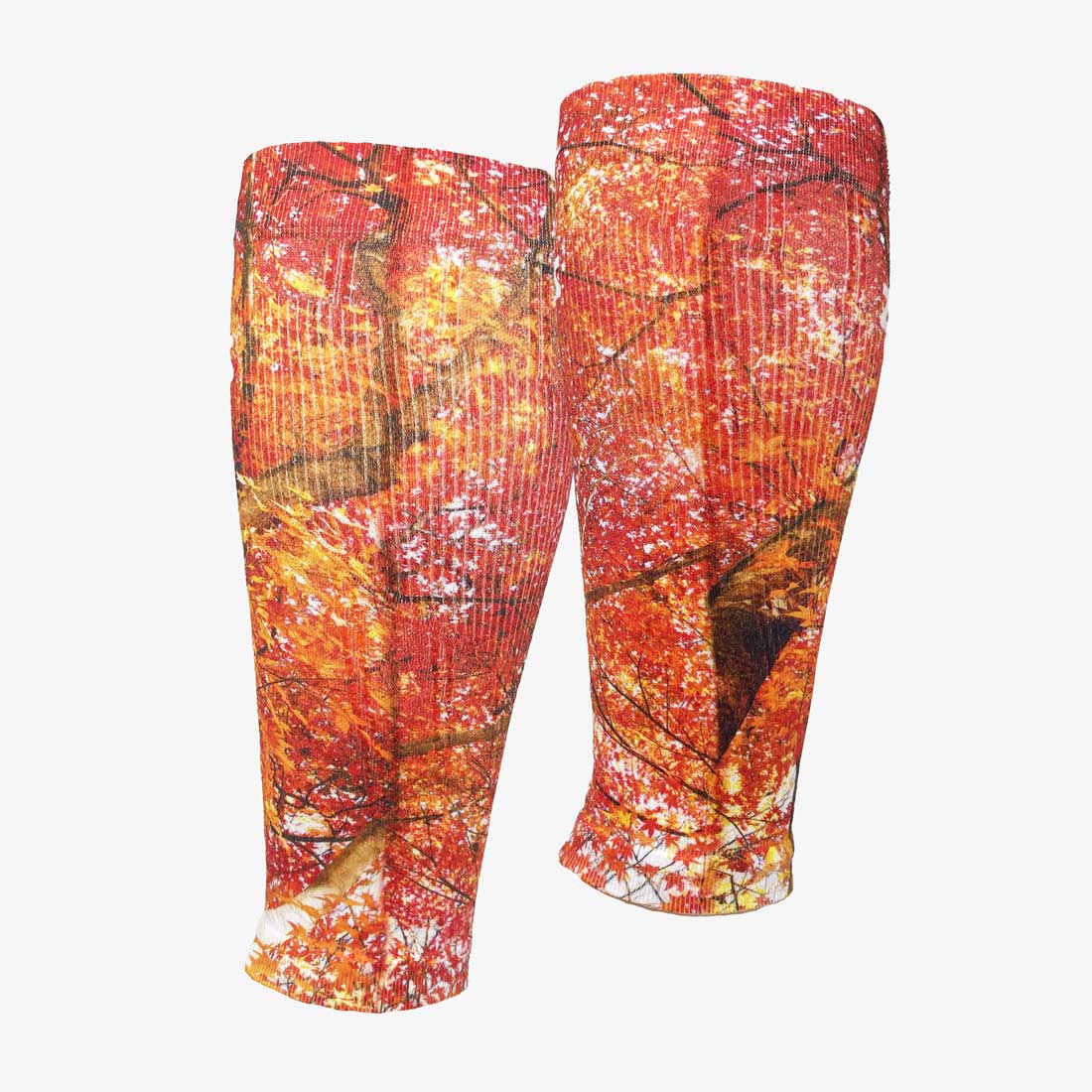 Autumn Trees Compression Leg SleevesLeg Sleeves - Zensah