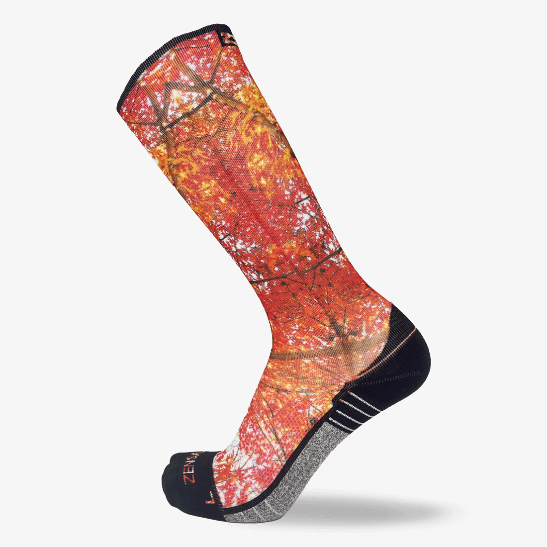 Autumn Trees Compression Socks (Knee-High)Socks - Zensah