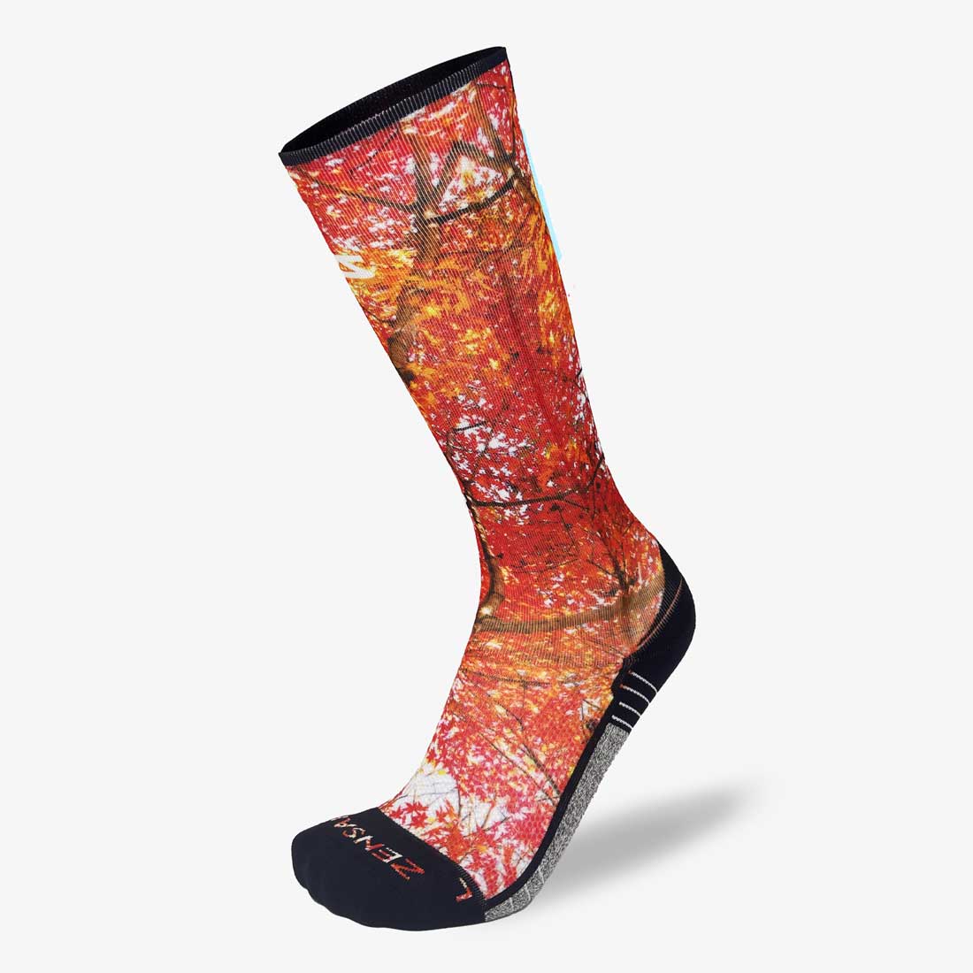 Autumn Trees Compression Socks (Knee-High)Socks - Zensah